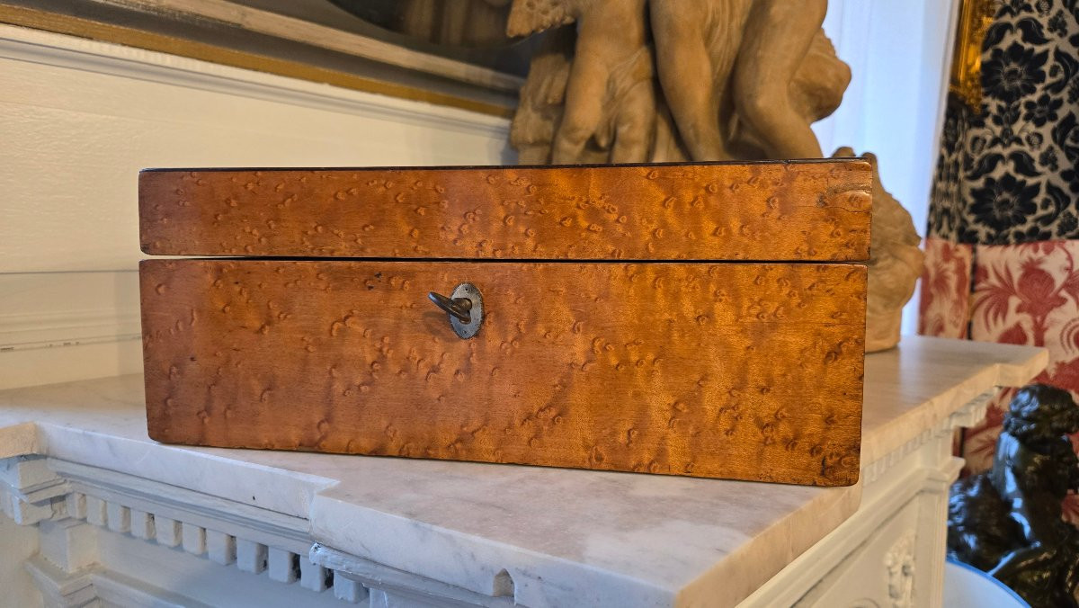 Charles X Period Box In Speckled Maple And Amaranth Stringing-photo-4