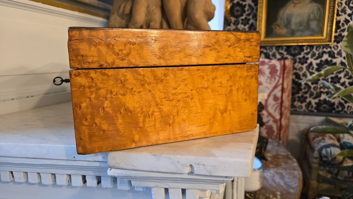 Charles X Period Box In Speckled Maple And Amaranth Stringing-photo-1