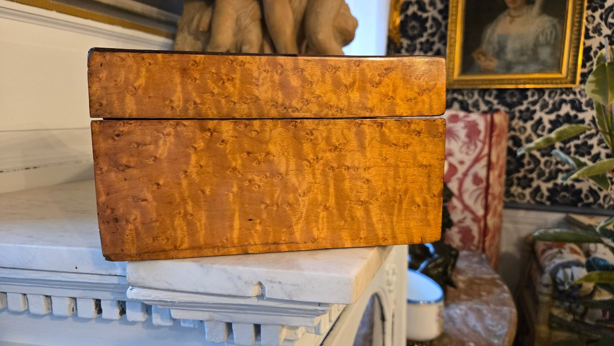 Charles X Period Box In Speckled Maple And Amaranth Stringing-photo-3