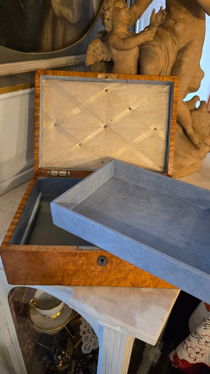 Charles X Period Box In Speckled Maple And Amaranth Stringing-photo-6