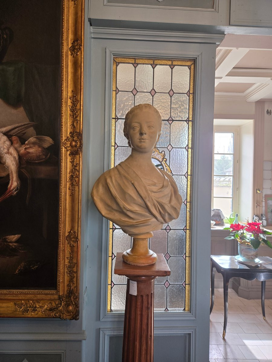 Large Bust Of A Young Woman In The Style Of The 18th Century. Antique Cast In Patinated Plaster, 19th Century.-photo-2