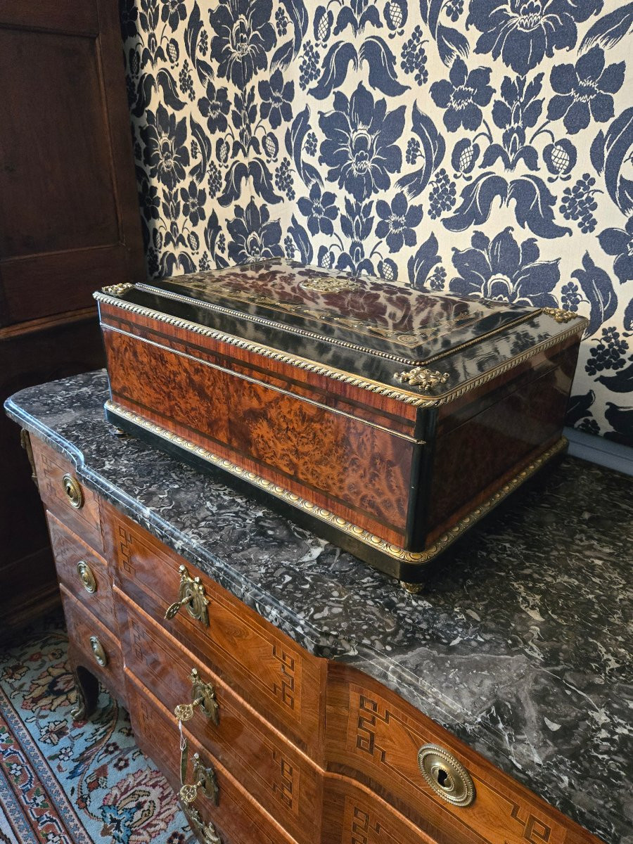 Important Shawl Box, Paris, Napoleon III Period.   -photo-5