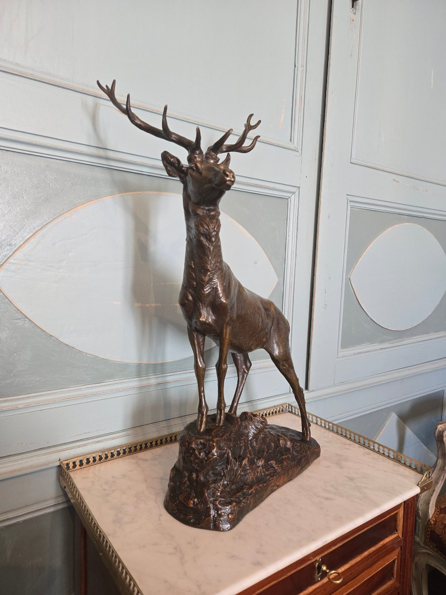 Cerf aux écoutes en bronze à patine nuancée, signé Maximilien Fiot (1886–1953).   -photo-3