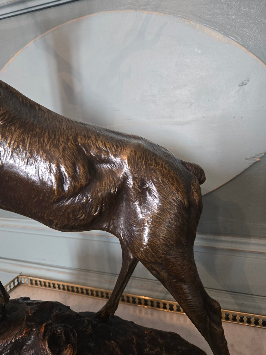 Cerf aux écoutes en bronze à patine nuancée, signé Maximilien Fiot (1886–1953).   -photo-1