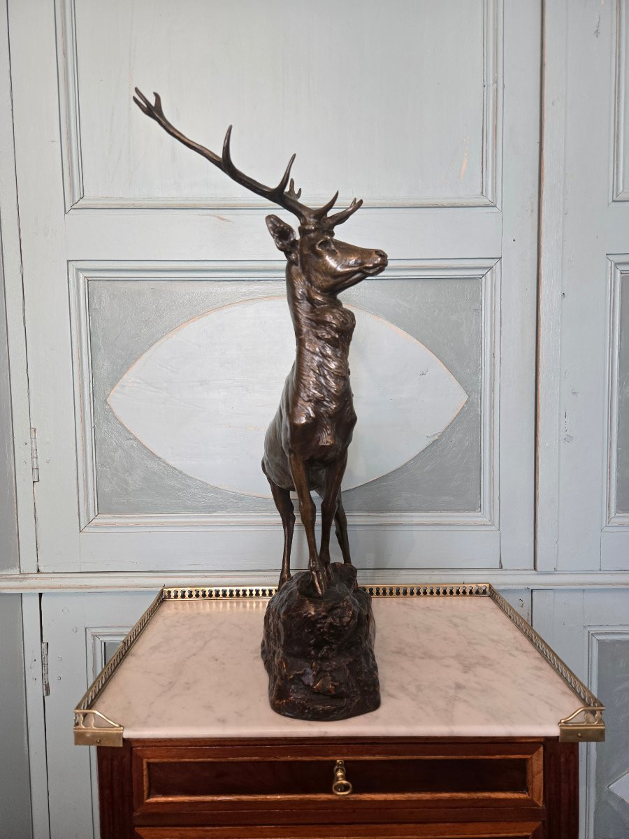 Cerf aux écoutes en bronze à patine nuancée, signé Maximilien Fiot (1886–1953).   -photo-4
