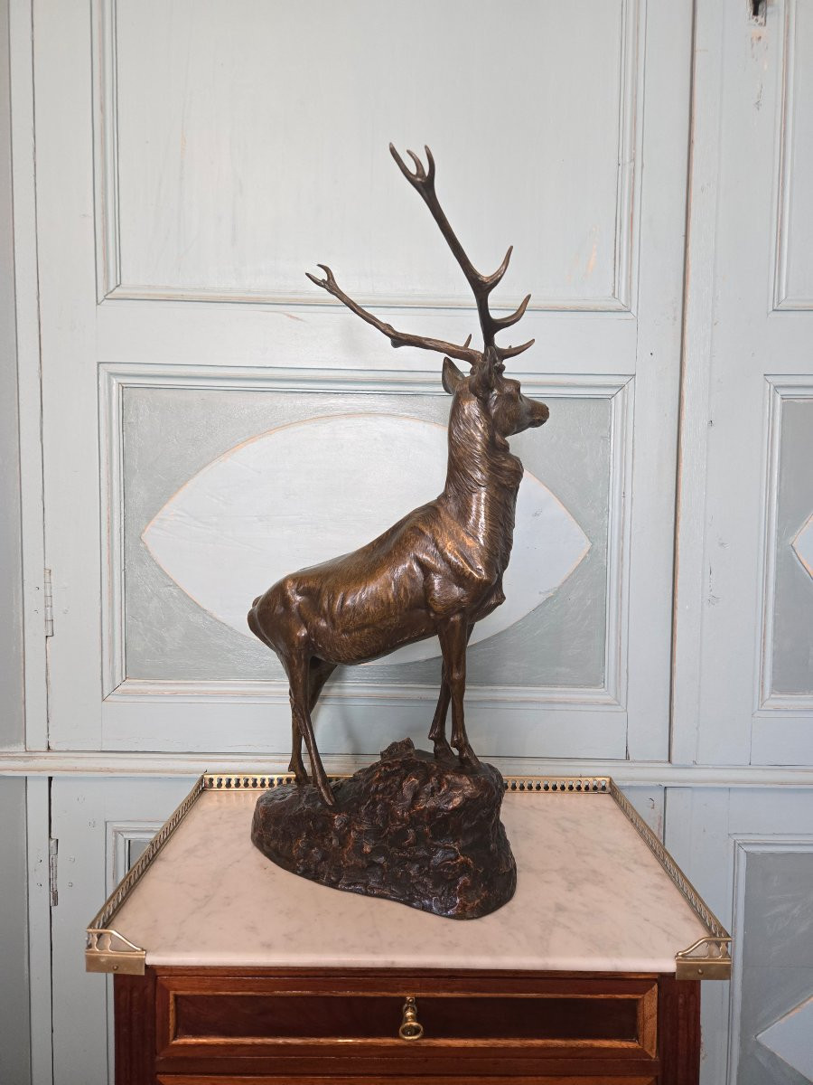 Cerf aux écoutes en bronze à patine nuancée, signé Maximilien Fiot (1886–1953).   -photo-6