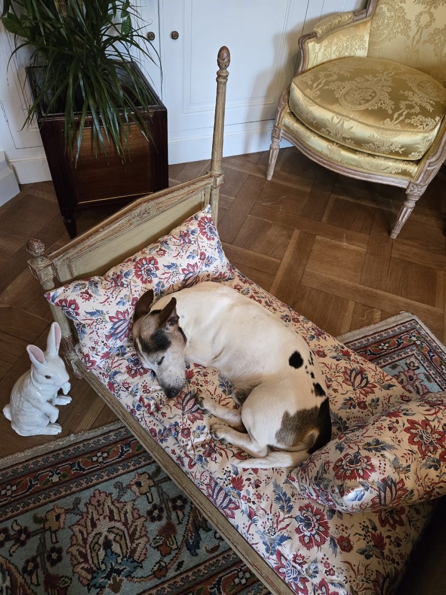 Dog Bed -photo-2