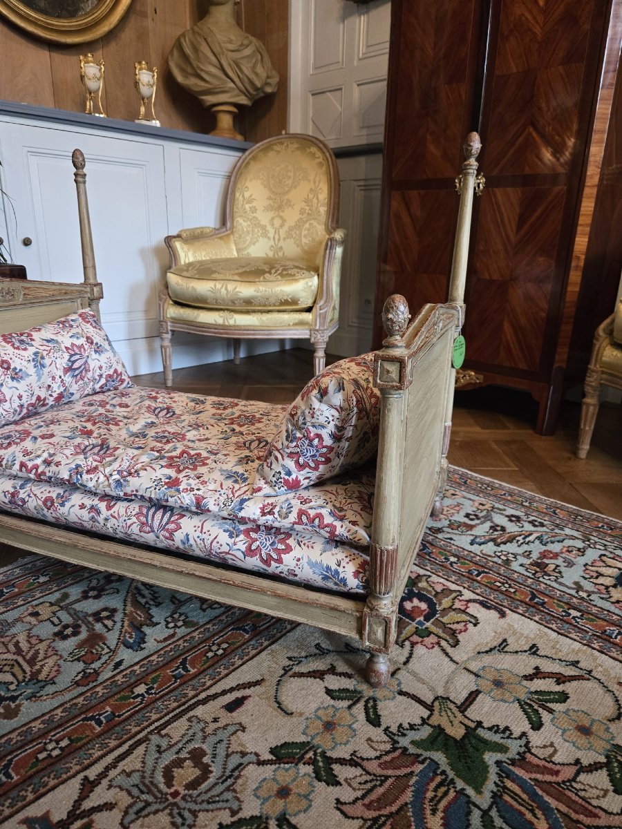 Dog Bed -photo-3