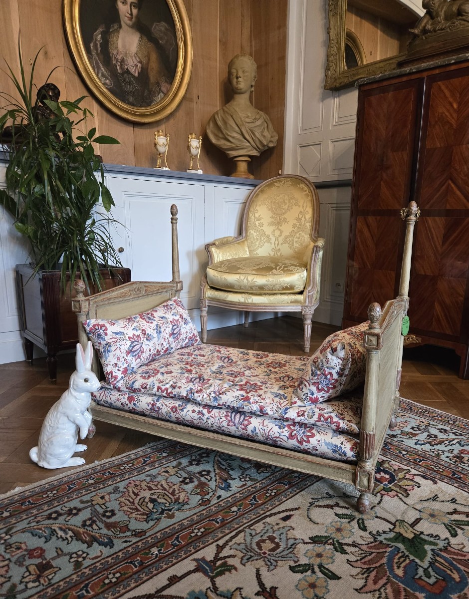 Dog Bed 