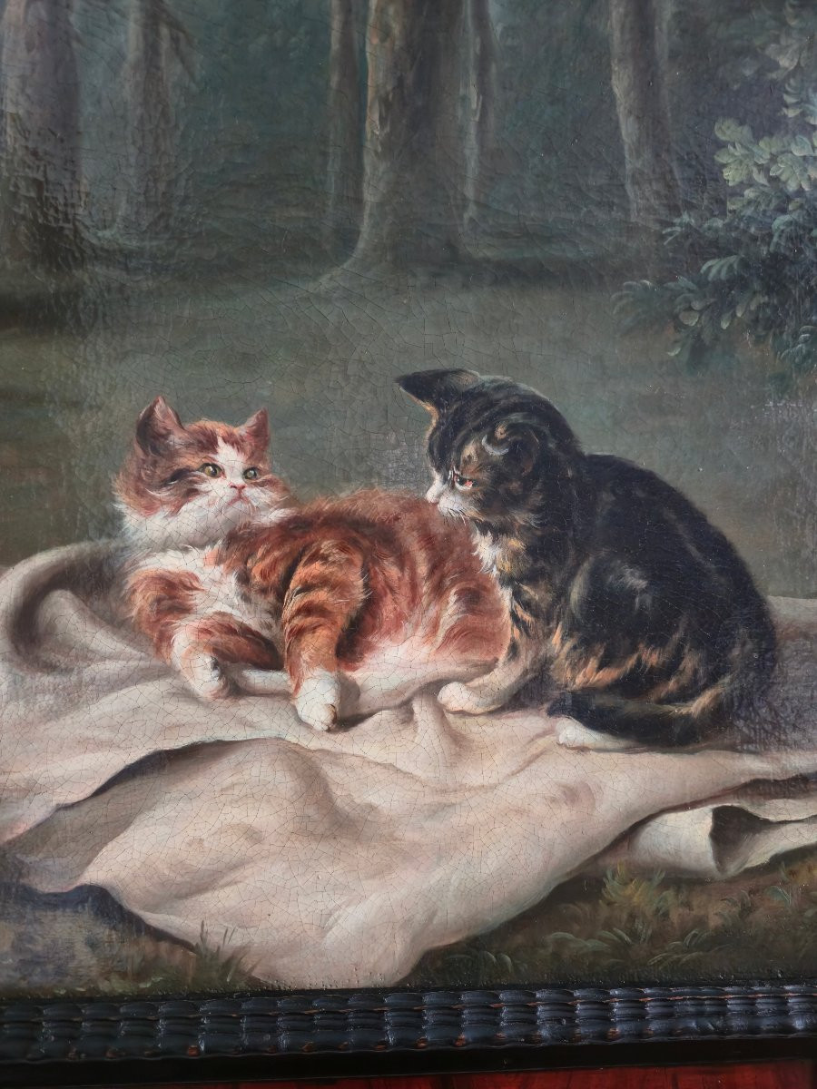 Scène De Chats Dans Un Sous-bois, Oil On Canvas, 19th Century.-photo-3