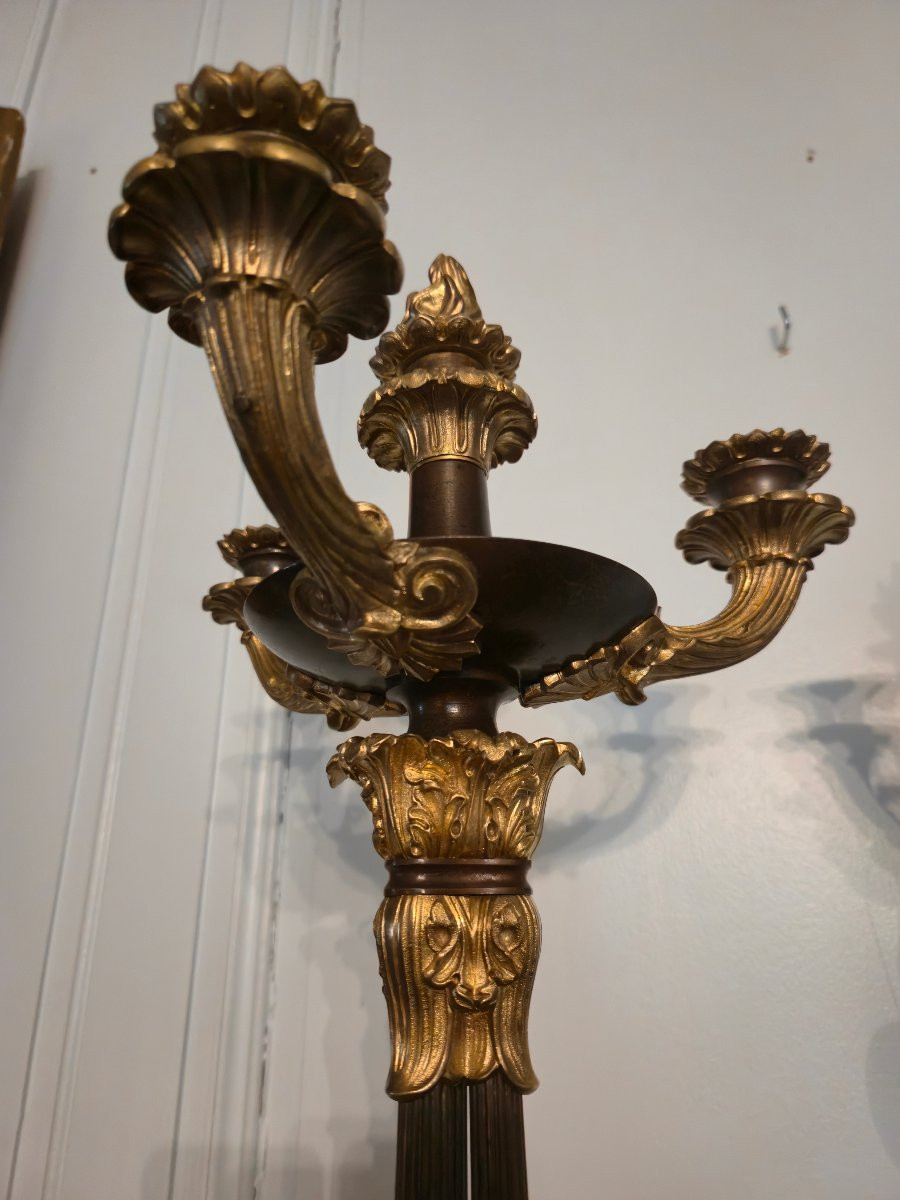 Pair Of Patinated And Gilt Bronze Candelabras, French Restauration Period.-photo-2