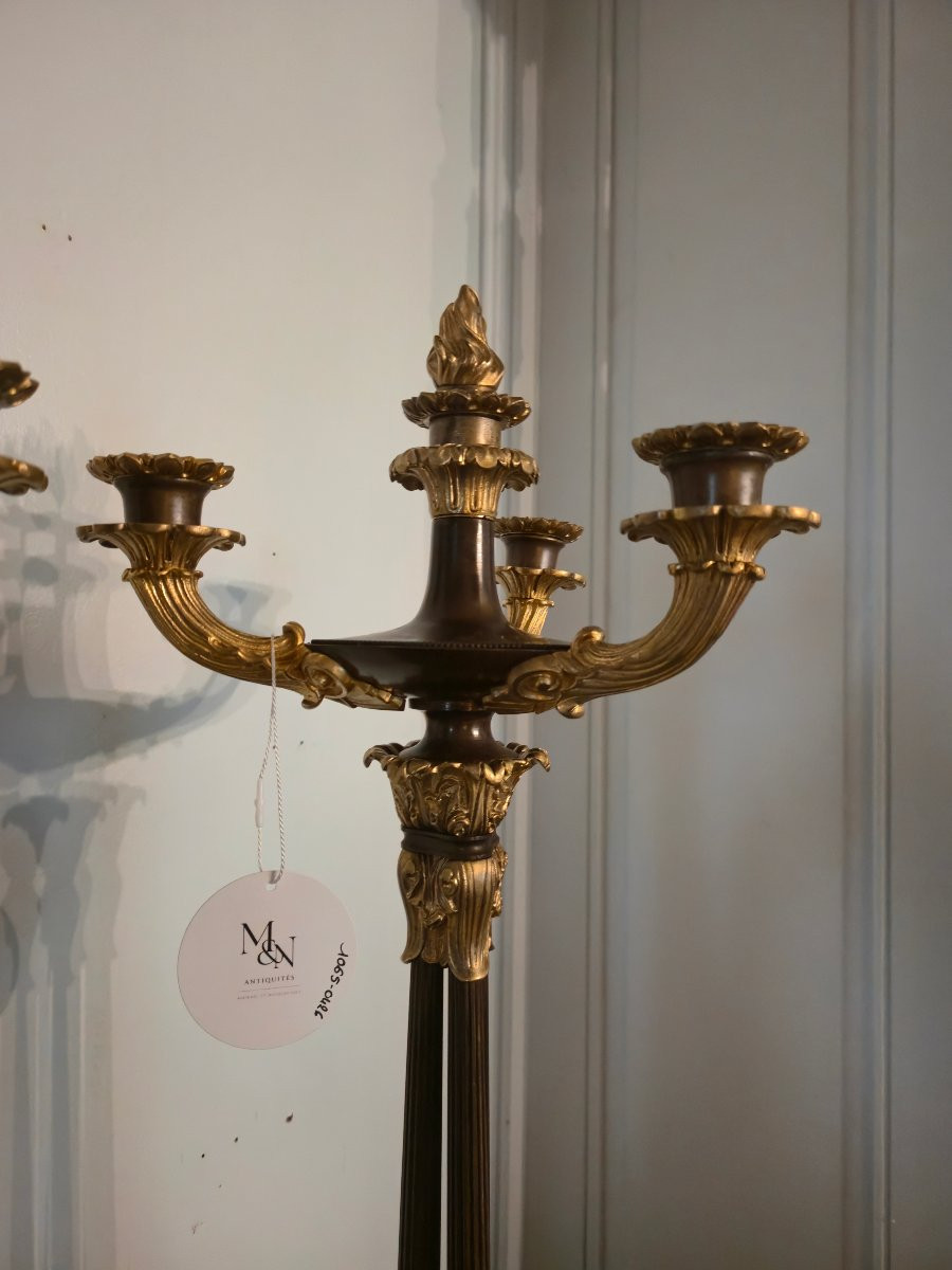 Pair Of Patinated And Gilt Bronze Candelabras, French Restauration Period.-photo-3