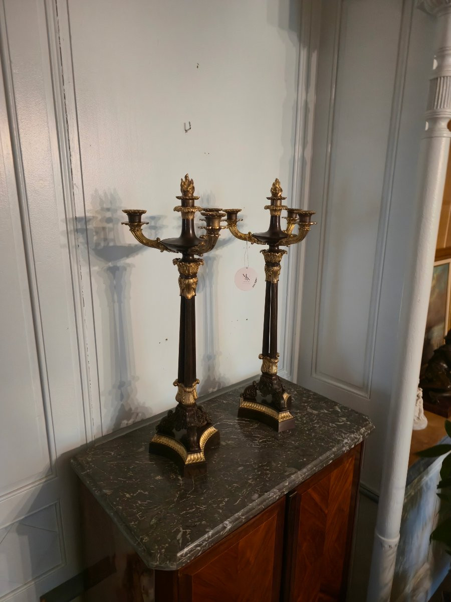 Pair Of Patinated And Gilt Bronze Candelabras, French Restauration Period.-photo-5
