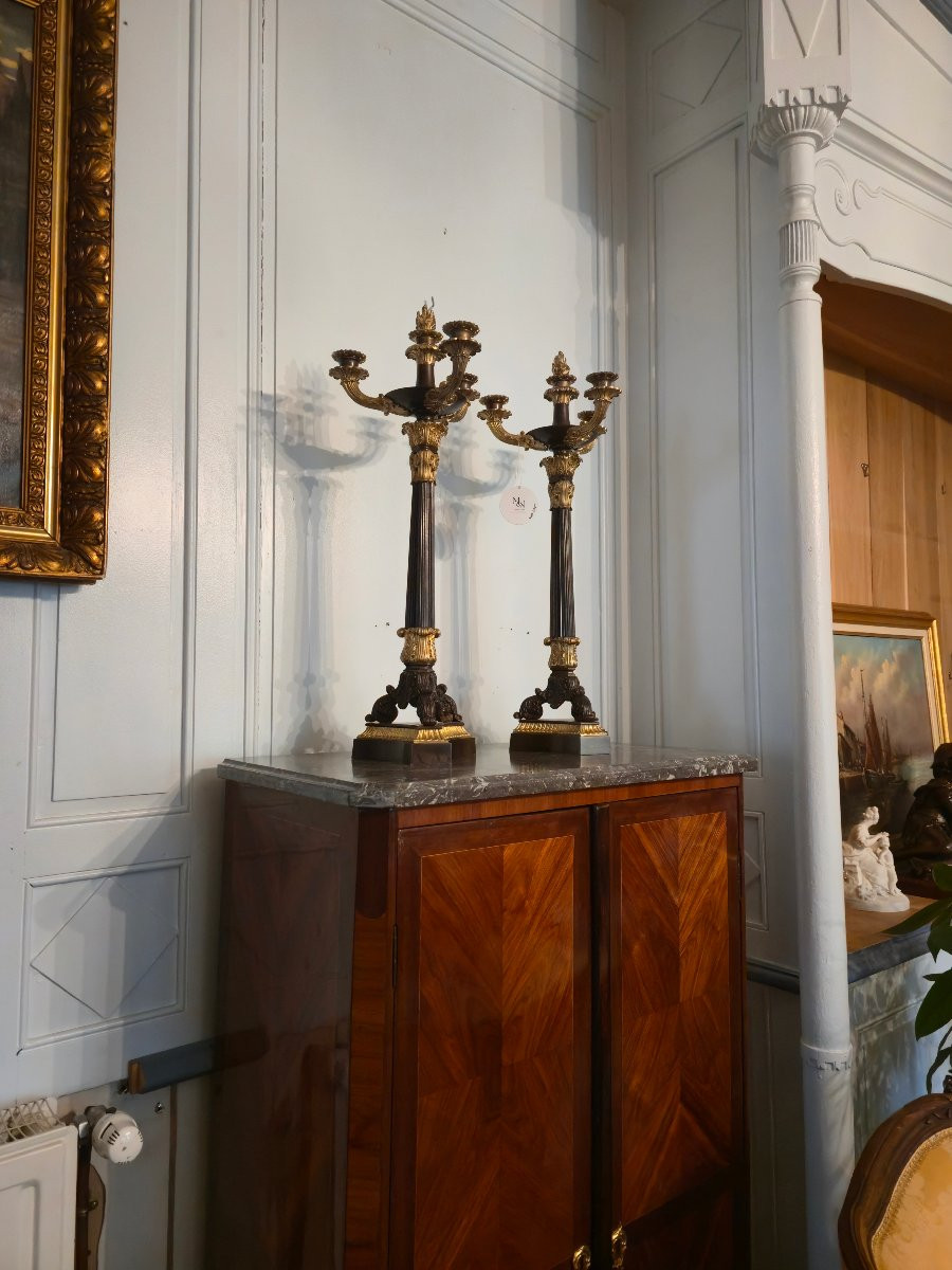 Pair Of Patinated And Gilt Bronze Candelabras, French Restauration Period.-photo-6