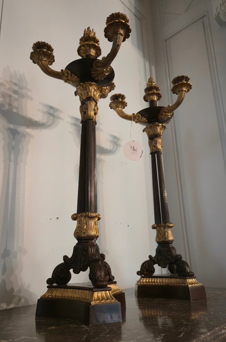 Pair Of Patinated And Gilt Bronze Candelabras, French Restauration Period.