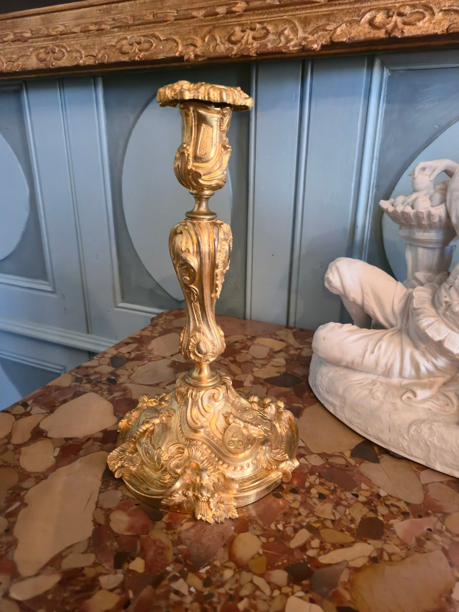 Pair Of Insect Torches, Model Delivered For Versailles In 1835.  -photo-3
