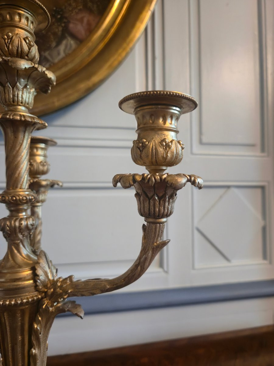 Paire de candélabres en bronze doré de style Louis XVI, travail néoclassique français vers 1900-photo-3