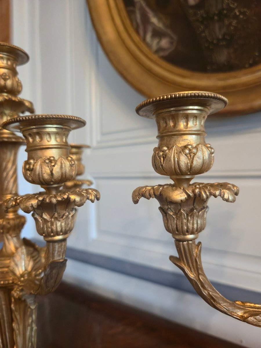 Paire de candélabres en bronze doré de style Louis XVI, travail néoclassique français vers 1900-photo-1