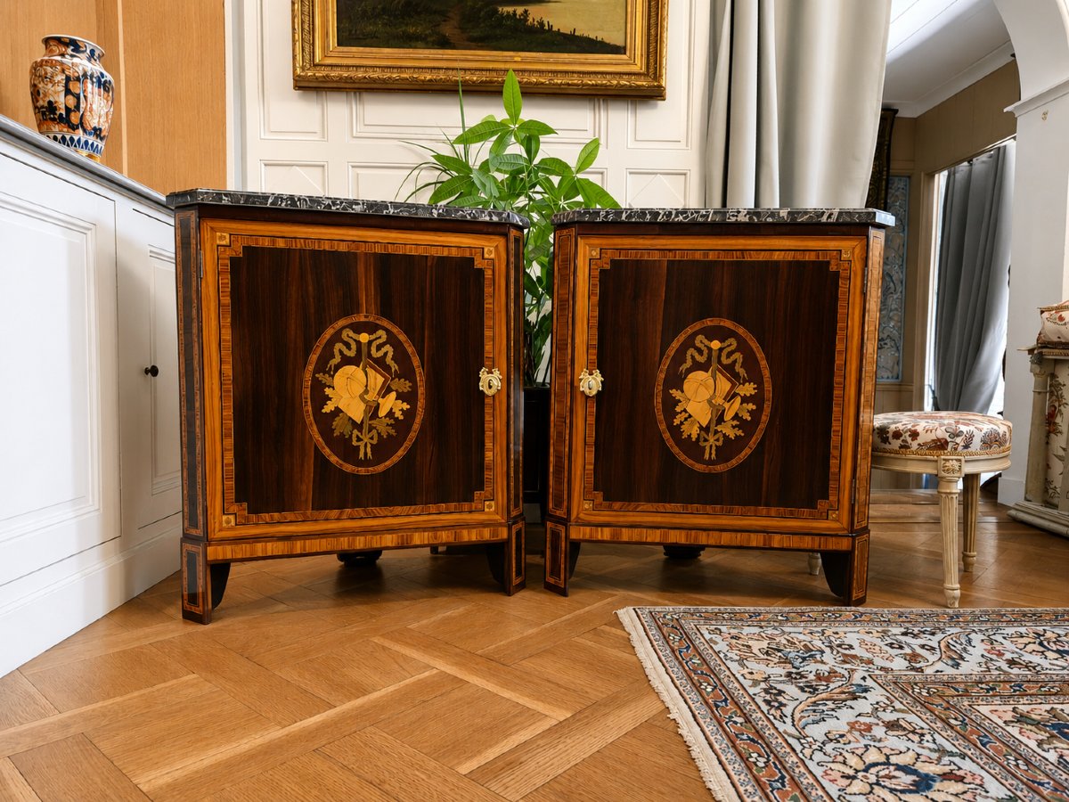 Paire d'encoignures d'époque Louis XVI à décor de trophées des sciences et de la géographie.   -photo-4