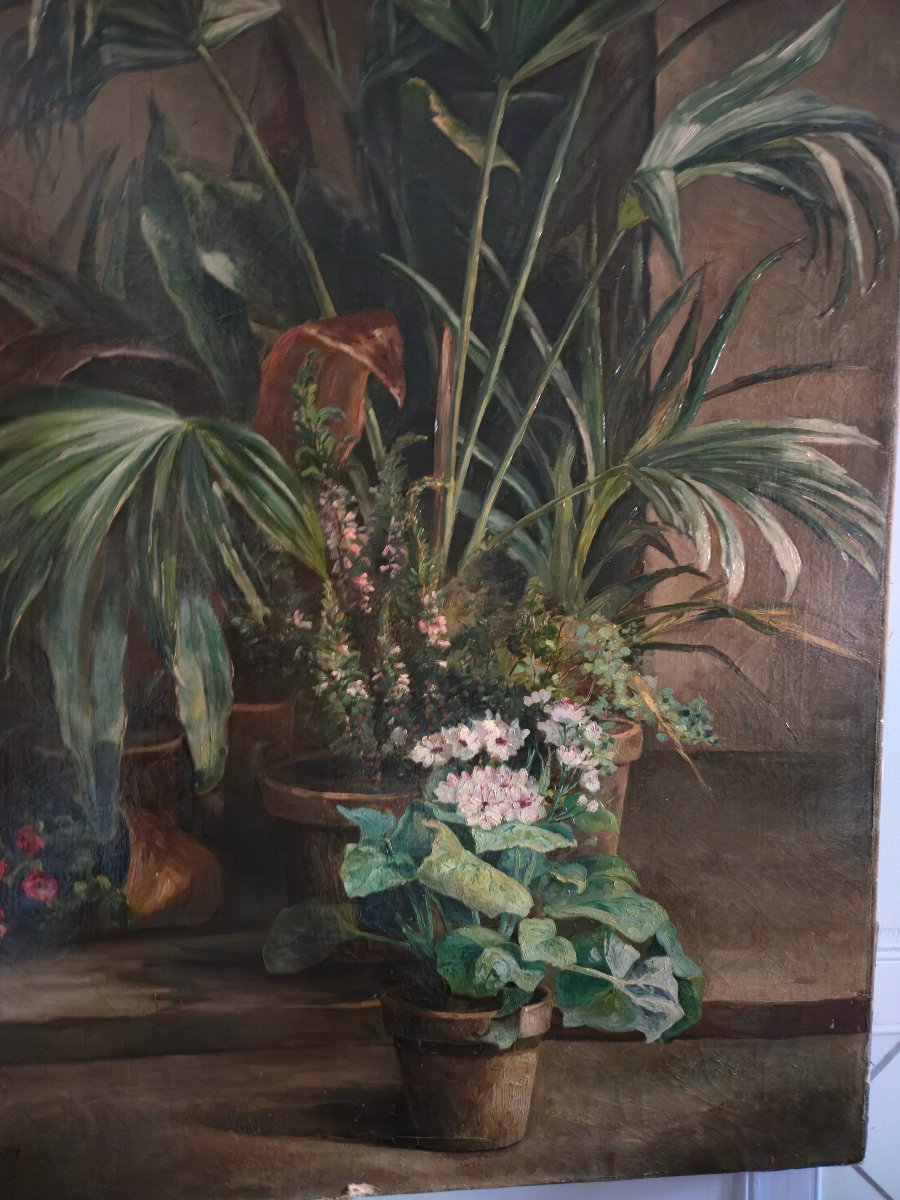 Winter Garden – Large Naturalistic Painting, Signed And Dated 1881.  -photo-4