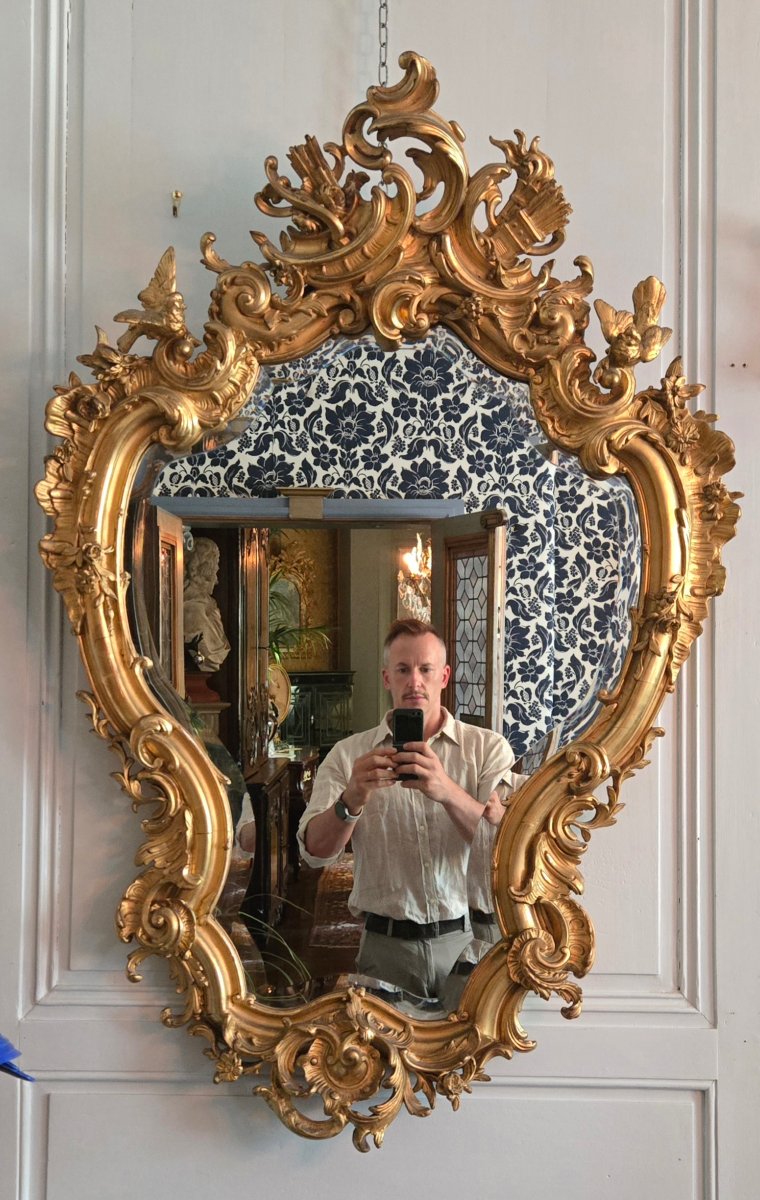 Rocaille Mirror Made Of Wood And Gilded Stucco, Decorated With Birds And A Gallant Trophy, 19th Century.   -photo-2