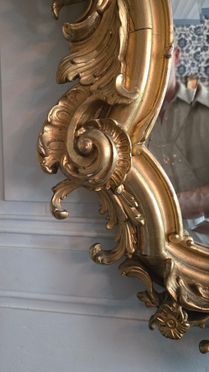 Rocaille Mirror Made Of Wood And Gilded Stucco, Decorated With Birds And A Gallant Trophy, 19th Century.   -photo-4