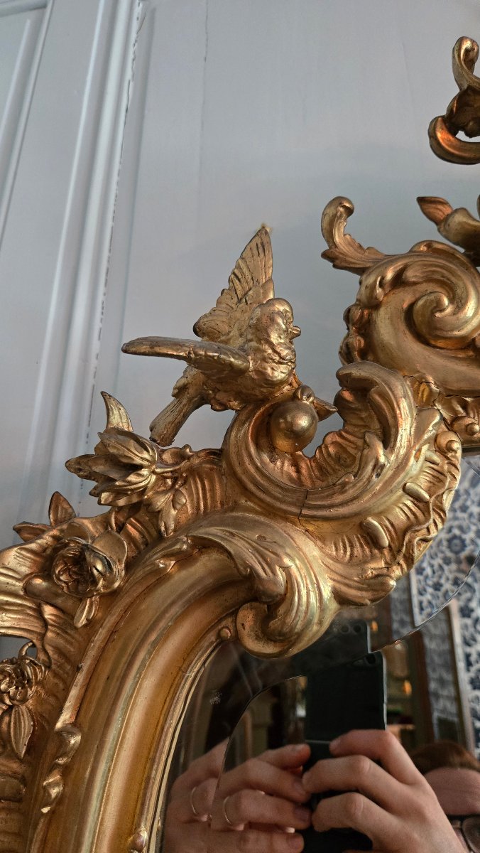 Rocaille Mirror Made Of Wood And Gilded Stucco, Decorated With Birds And A Gallant Trophy, 19th Century.   -photo-3