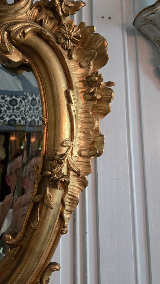 Rocaille Mirror Made Of Wood And Gilded Stucco, Decorated With Birds And A Gallant Trophy, 19th Century.   -photo-6
