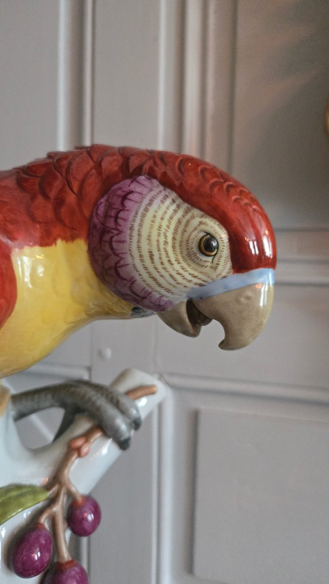 Grand Perroquet En Porcelaine Polychrome De Volkstedt, Allemagne, Vers 1912-1945.  -photo-2
