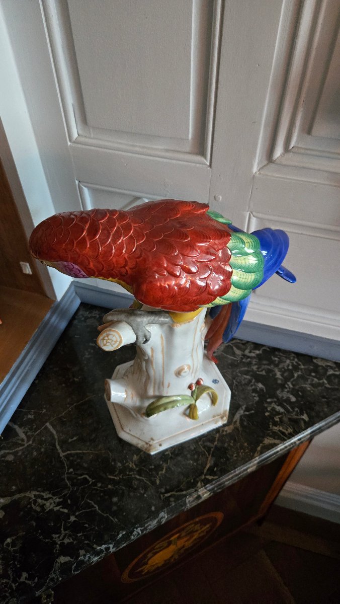 Grand Perroquet En Porcelaine Polychrome De Volkstedt, Allemagne, Vers 1912-1945.  -photo-3