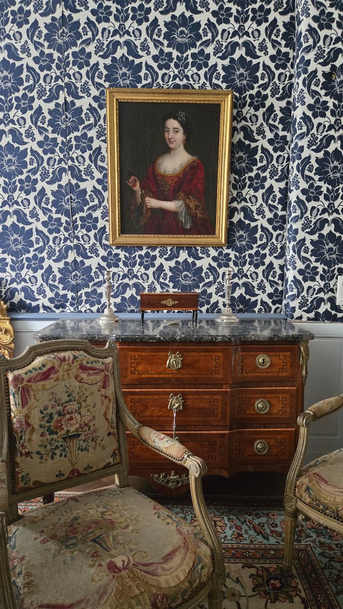 Portrait d'une dame aux cerises et à l'oiseau – École française du XVIIIᵉ siècle.  -photo-3