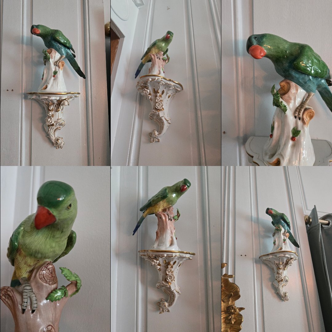 Paire de perruches naturalistes en porcelaine sur consoles murales rocaille, Allemagne, XXᵉ 