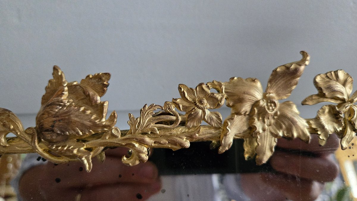 Miroir de table naturaliste, époque Art nouveau, en bronze ciselé et doré, France, vers 1900.  -photo-3