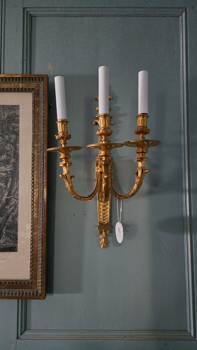 Grande paire d’appliques néoclassiques en bronze ciselé et doré, fin du XIXe siècle.  -photo-3