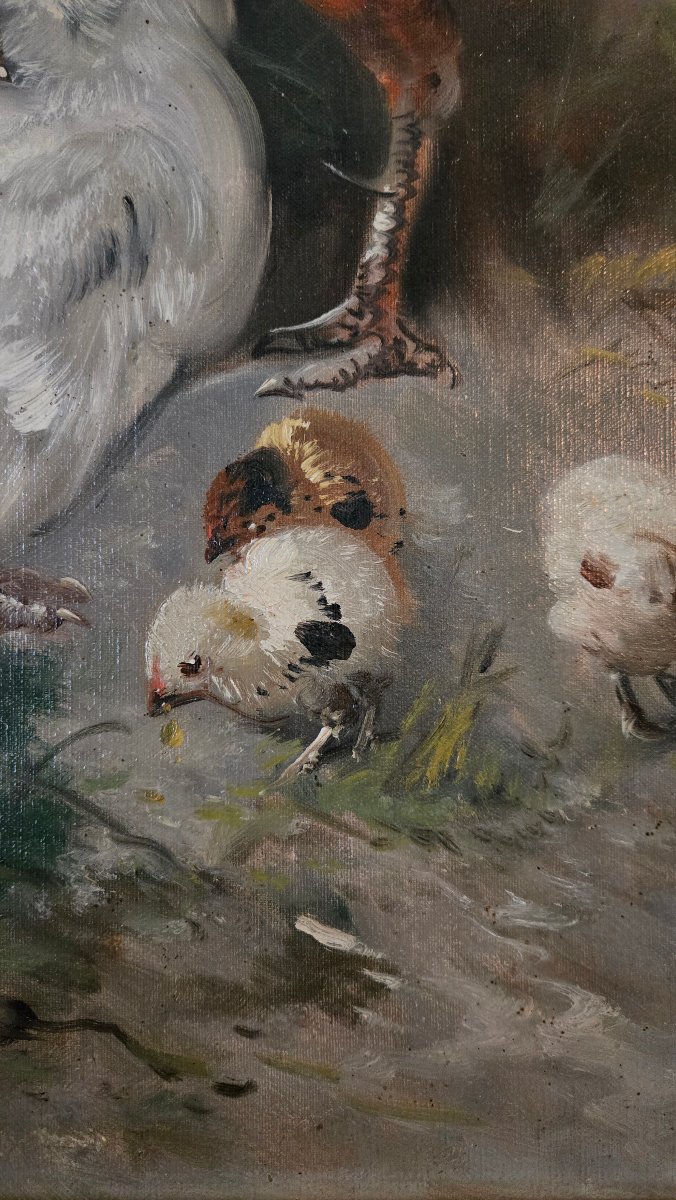 Henri Schouten (1860-1927) – Coq, poule et poussins dans un sous-bois, huile sur toile.-photo-1
