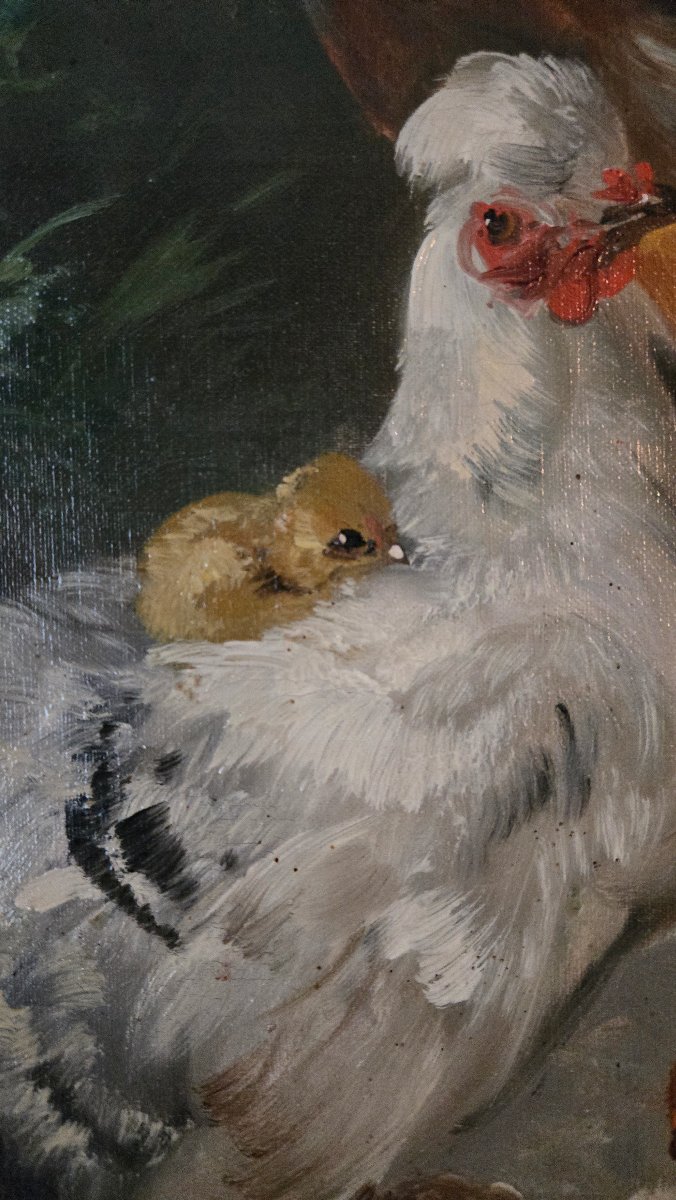 Henri Schouten (1860-1927) – Coq, poule et poussins dans un sous-bois, huile sur toile.-photo-2