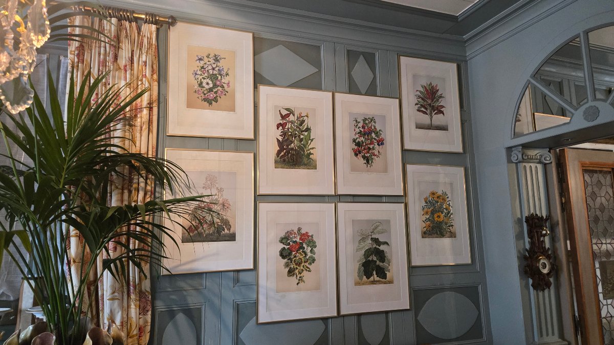 Plants And Flowers Of Parisian Gardens – Botanical Chromolithographs, 1867–1873-photo-3