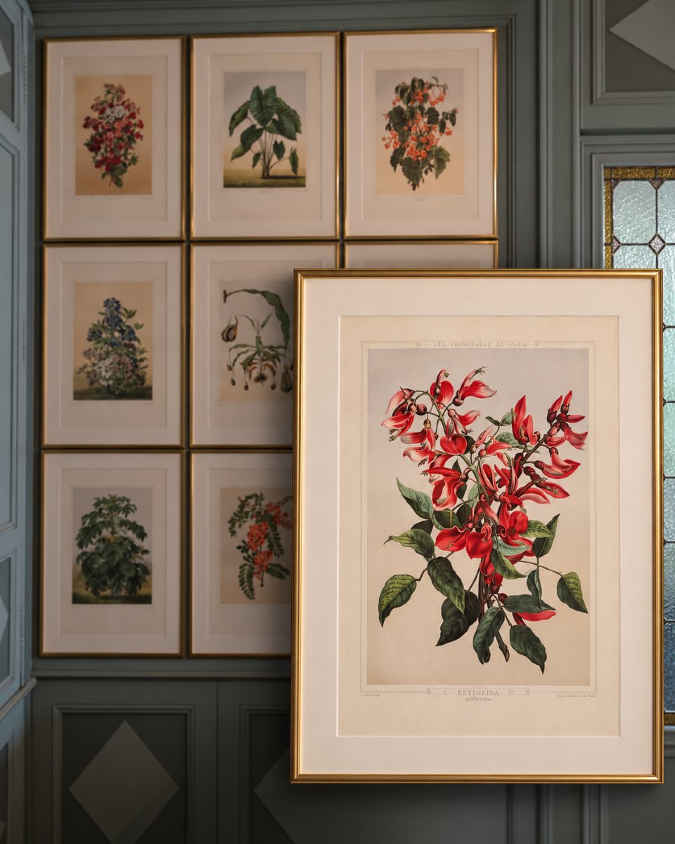 Plants And Flowers Of Parisian Gardens – Botanical Chromolithographs, 1867–1873