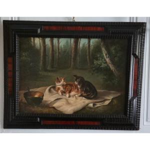 Scène De Chats Dans Un Sous-bois, Oil On Canvas, 19th Century.