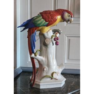 Grand Perroquet En Porcelaine Polychrome De Volkstedt, Allemagne, Vers 1912-1945.  