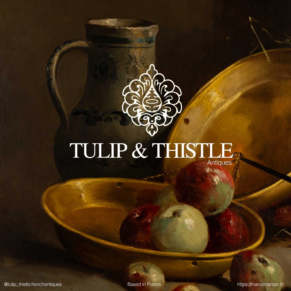 tulip-thistle-diapo-0