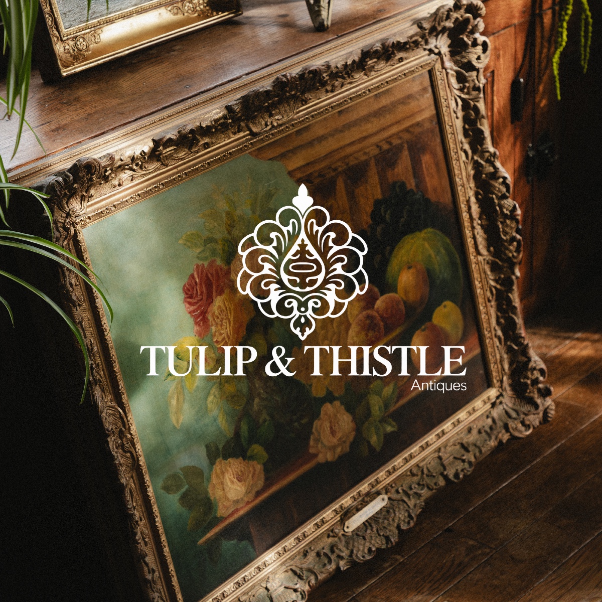 Tulip & Thistle