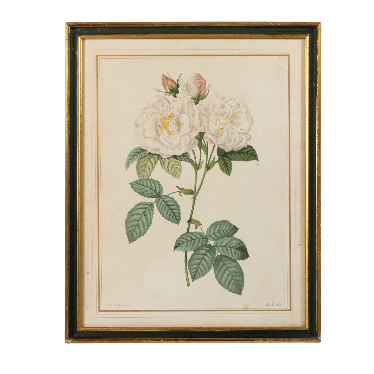 Lot Of 5 Framed Lithographs Of Roses After Pierre-joseph Redouté-photo-3
