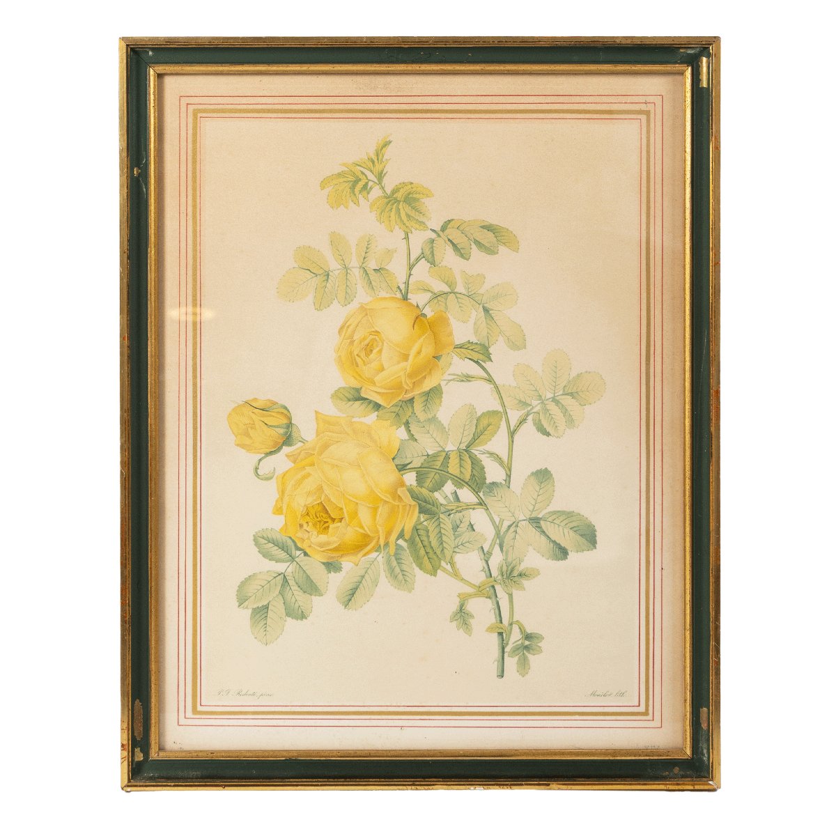 Lot Of 5 Framed Lithographs Of Roses After Pierre-joseph Redouté-photo-4
