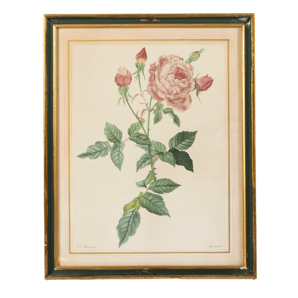 Lot Of 5 Framed Lithographs Of Roses After Pierre-joseph Redouté-photo-8