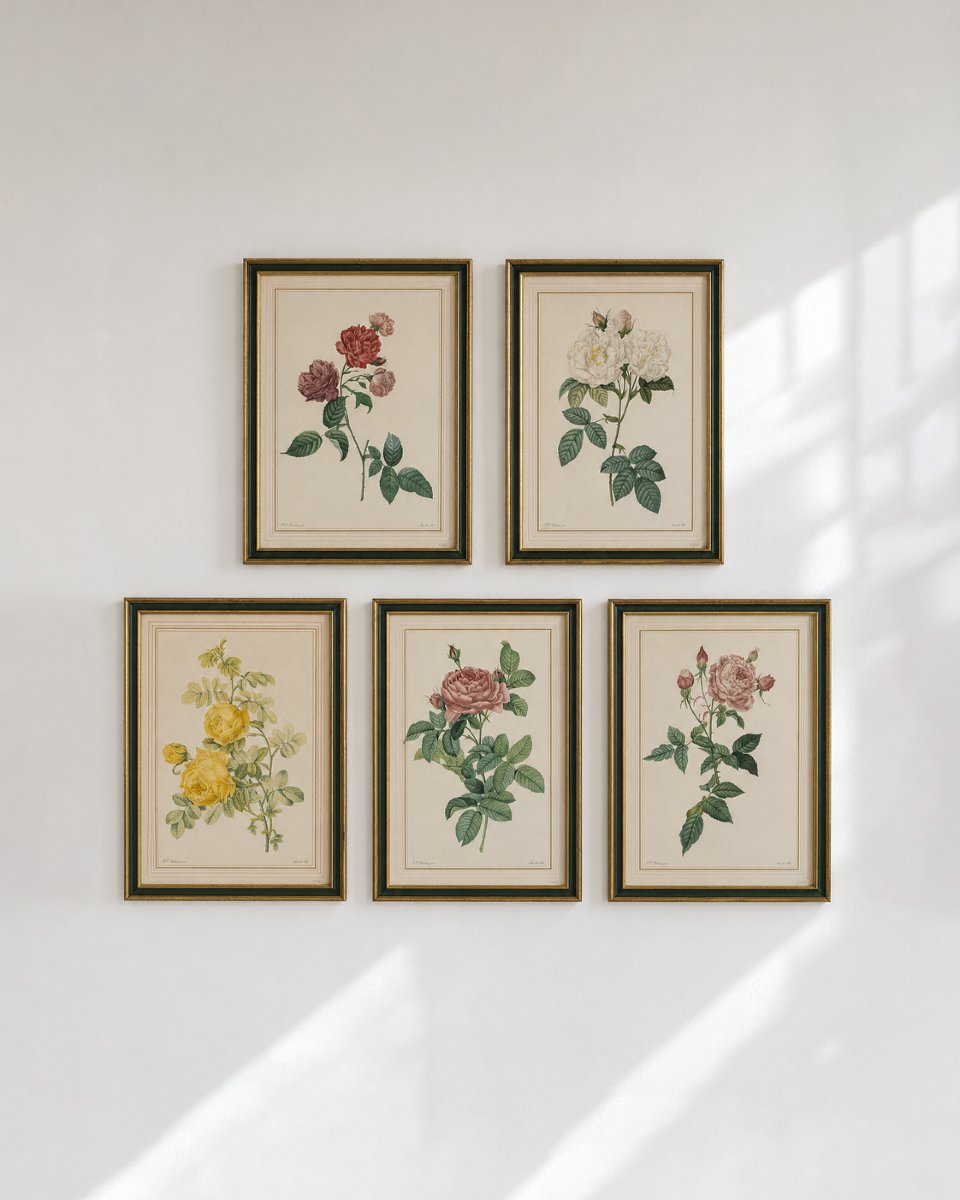 Lot Of 5 Framed Lithographs Of Roses After Pierre-joseph Redouté
