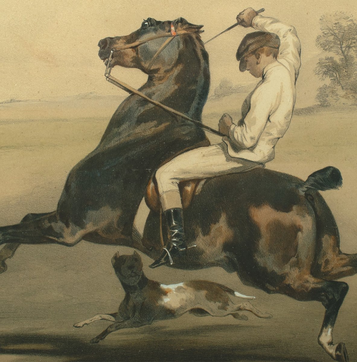 Lithographie Le Poney d'après Alfred de Dreux, coloriée par Loeillot et Ciceri c1840-photo-3