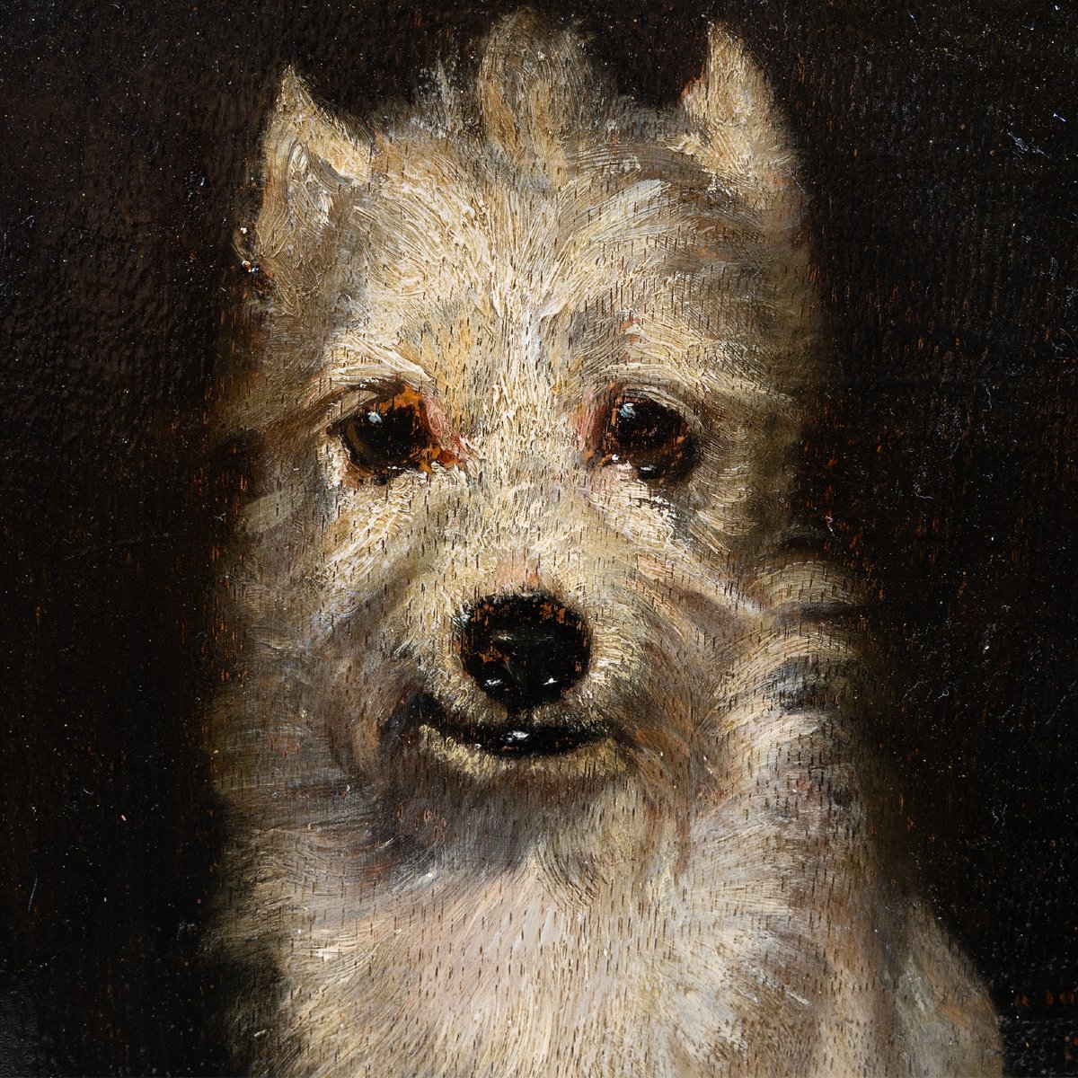 Portrait de Chien (1856) par Louis Godefroy Jadin (1805-1882) – Dédicacé à Hector Lefuel-photo-1
