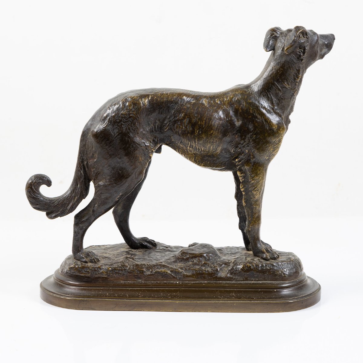 RICHARD (XXème siècle) – Lévrier aux aguets, sculpture en bronze à patine nuance de brun-photo-1