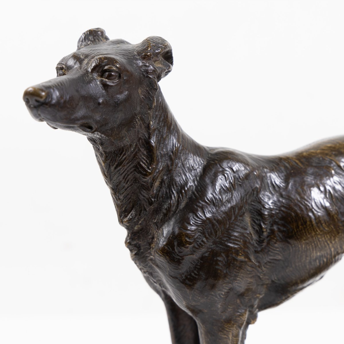 RICHARD (XXème siècle) – Lévrier aux aguets, sculpture en bronze à patine nuance de brun-photo-4